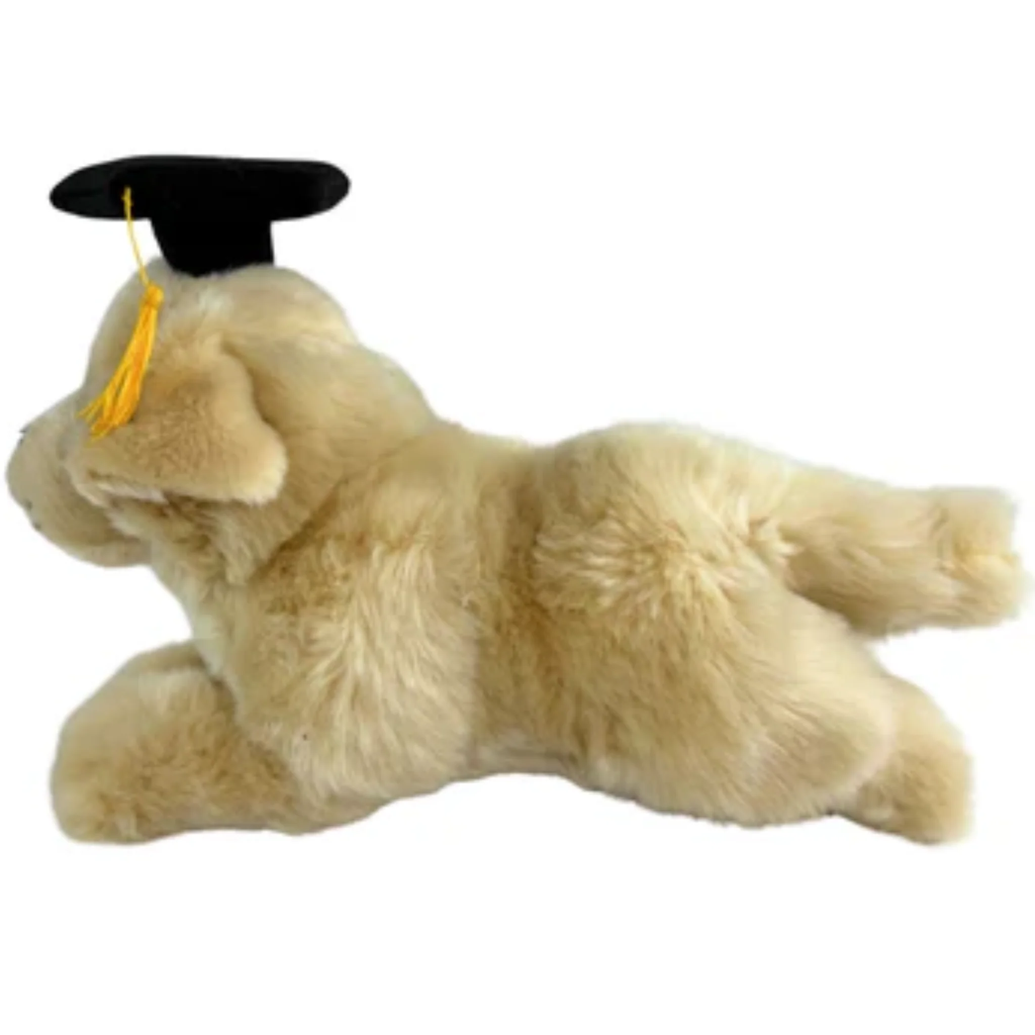 Fox - Image 2
