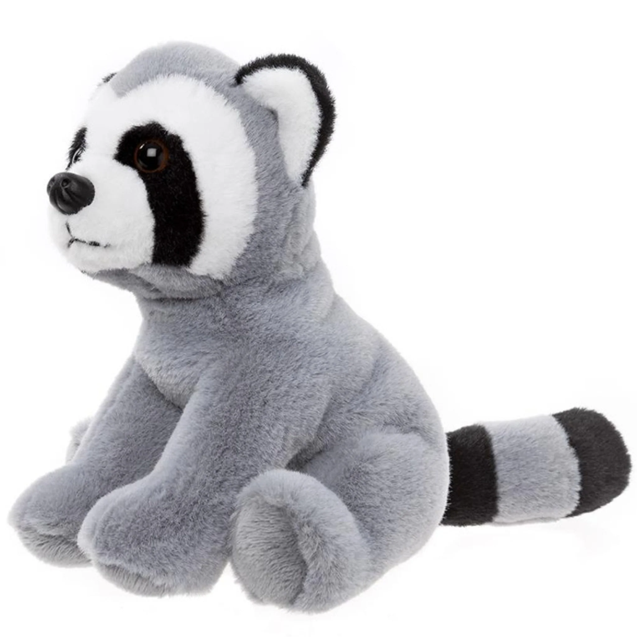 Raccoon - Image 2
