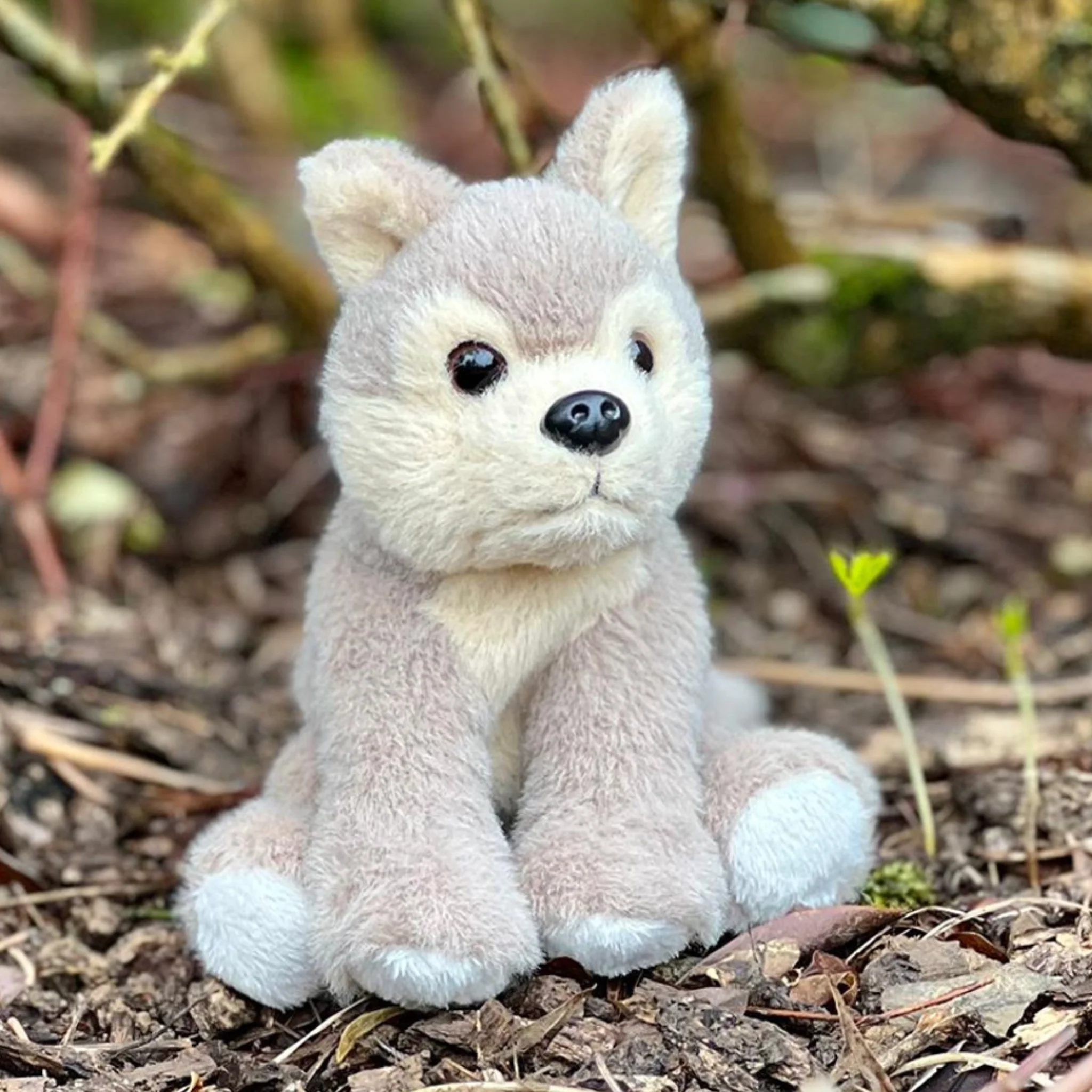 Wolf - Image 2
