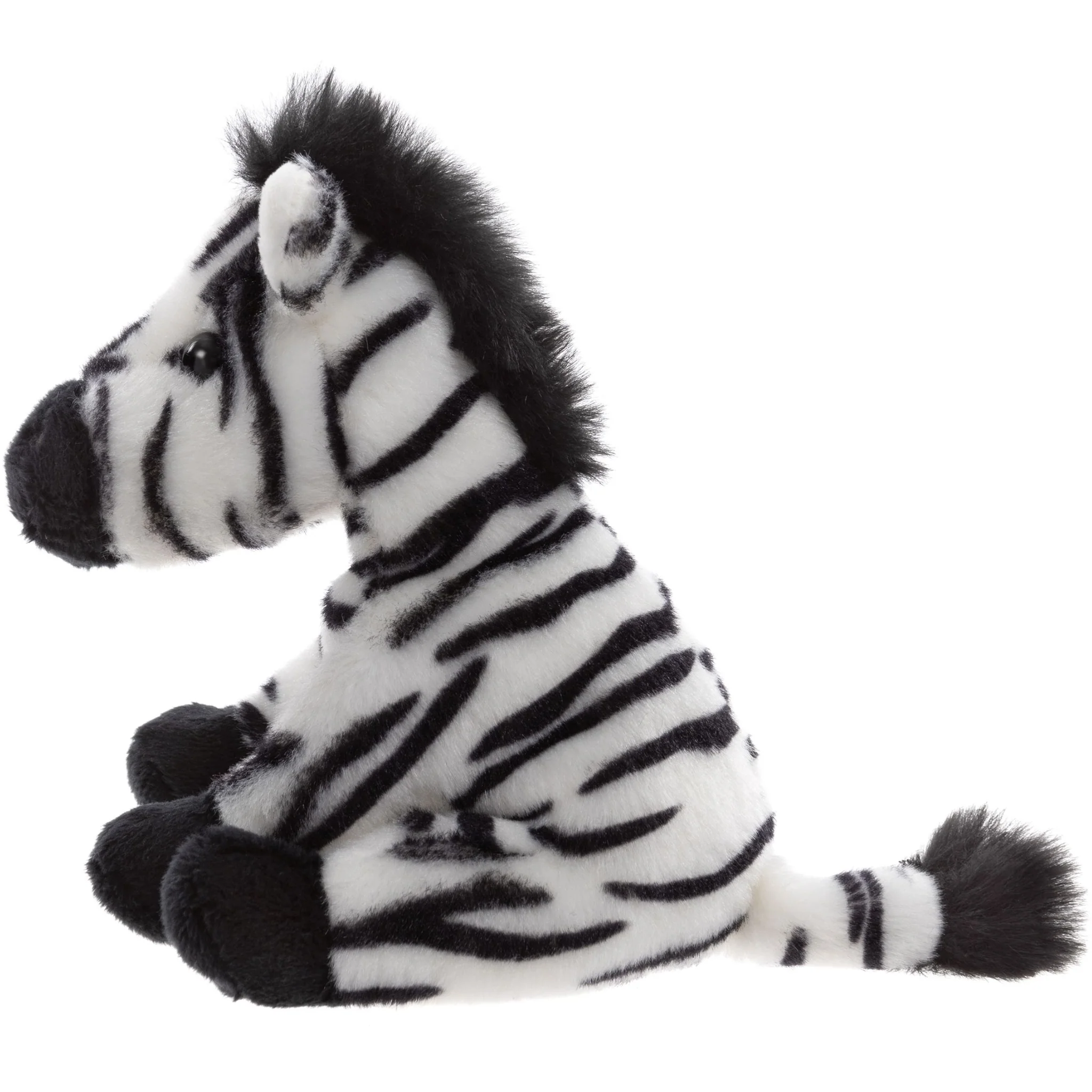 Zebra - Image 2